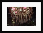 Fireworks Display by Anonymous