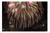 Fireworks Display by Anonymous