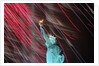 Fireworks Surrounding Statue of Liberty by Anonymous
