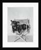 Bette Davis's Dog Tibby by Anonymous