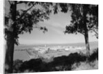 Distant View of San Francisco Through Tree Line by Anonymous