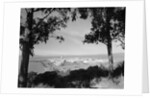 Distant View of San Francisco Through Tree Line by Anonymous