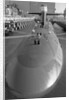 Portrait of The Trident Ballistic Missile by Anonymous