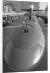 Portrait of The Trident Ballistic Missile by Anonymous