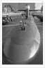 Portrait of The Trident Ballistic Missile by Anonymous