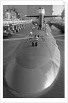 Portrait of The Trident Ballistic Missile by Anonymous