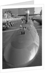 Portrait of The Trident Ballistic Missile by Anonymous