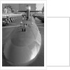 Portrait of The Trident Ballistic Missile by Anonymous