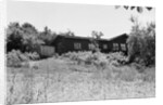 Home of J.D. Salinger by Anonymous