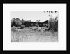 Home of J.D. Salinger by Anonymous