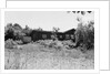 Home of J.D. Salinger by Anonymous