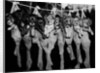 Puppies Hanging from a Clothesline by Anonymous