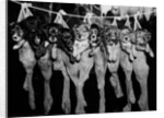 Puppies Hanging from a Clothesline by Anonymous