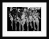 Puppies Hanging from a Clothesline by Anonymous