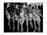 Puppies Hanging from a Clothesline by Anonymous