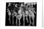 Puppies Hanging from a Clothesline by Anonymous