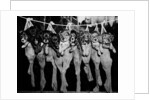 Puppies Hanging from a Clothesline by Anonymous