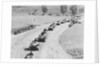 German Invasion of Poland by Anonymous