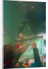 Divers Playing Monopoly Underwater by Anonymous