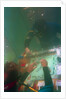 Divers Playing Monopoly Underwater by Anonymous