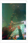 Divers Playing Monopoly Underwater by Anonymous