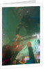 Divers Playing Monopoly Underwater by Anonymous