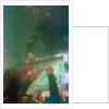 Divers Playing Monopoly Underwater by Anonymous