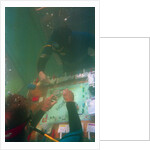 Divers Playing Monopoly Underwater by Anonymous