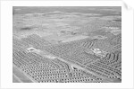 New York Suburb of Levittown by Anonymous