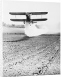 Bi-Plane Dusting Field with Pesticides by Anonymous