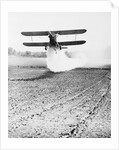 Bi-Plane Dusting Field with Pesticides by Anonymous