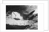 Large Captured Shark Hooked by the Mouth by Anonymous