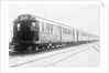 New York Subway Car by Anonymous