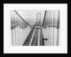 View of Suspension Bridge by Anonymous