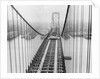 View of Suspension Bridge by Anonymous