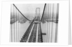 View of Suspension Bridge by Anonymous