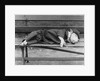 Sleeping Dog in Outfit by Anonymous