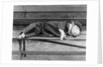 Sleeping Dog in Outfit by Anonymous
