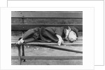 Sleeping Dog in Outfit by Anonymous