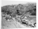 Hill Settlement by Anonymous