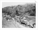 Hill Settlement by Anonymous