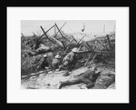 Soldiers Fighting by Anonymous