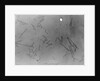 View of Microscopic View of Influenza by Anonymous