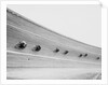 Motorcycles Racing on Sloped Track by Anonymous