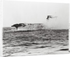 USS Lexington's Crew Diving into Sea by Anonymous