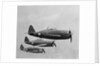 USAAF P-47 THunderbolt Fighter Planes in Flight by Anonymous