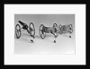 Flea Pulling Miniature Chariot by Anonymous