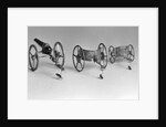 Flea Pulling Miniature Chariot by Anonymous