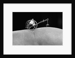 Flea Pulling Miniature Merry Go Round by Anonymous