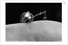 Flea Pulling Miniature Merry Go Round by Anonymous